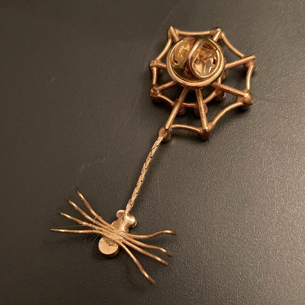 Spider 🕷️ Web Brooch - Picture 3 of 3